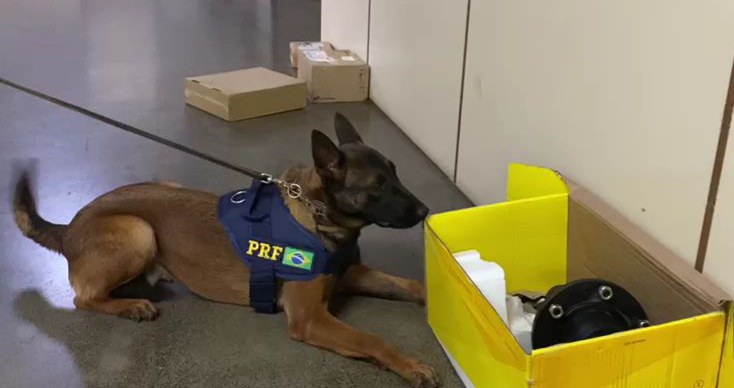 PRF apreende cocaína encontrada por cães farejadores em peça agrícola que iria para a China