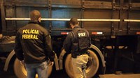 PRF e PF apreendem 591 Kg de maconha em Naviraí (MS)