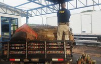 PRF apreende 626 Kg de maconha e skunk em carga de abacaxis na BR-376