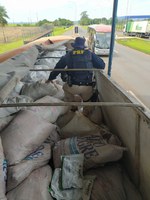 PRF apreende 1,6 tonelada de agrotóxicos em em Caarapó (MS)