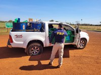 PRF apreende 1.664 Kg de maconha, haxixe, munições e recupera caminhonete em Sidrolândia (MS)
