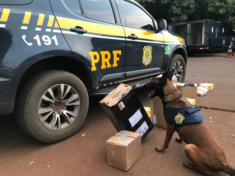 PRF e Correios realizam operação conjunta para interceptar encomendas com drogas em Campo Grande (MS)