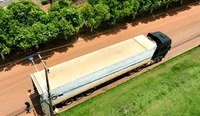 Em Guarantã do Norte/MT, PRF identifica transporte irregular de madeira