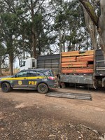 PRF apreende madeira sendo transportada ilegalmente em Alto Garças