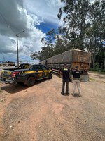 Em Mato Grosso, PRF realiza operação de fiscalização ambiental