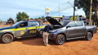 Em Rondonópolis-MT, PRF recupera veículo furtado