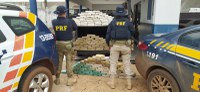 PRF apreende mais de 150 kg de cocaína em Canarana-MT