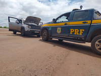 Polícia Rodoviária Federal apreende mais de 130m³ de madeira ilegal e recupera veículo produto de furto