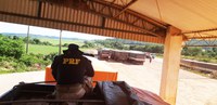 Ação conjunta entre forças de segurança de Mato Grosso resulta em grande quantidade de madeira apreendida