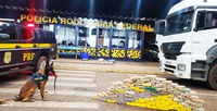 PRF apreende 120 kg de cocaína em Rondonópolis-MT