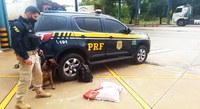 PRF apreende 5 kg de cocaína em Cuiabá-MT