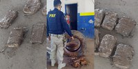 PRF apreende cocaína escondida no interior de estepe