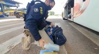 PRF apreende cocaína em ônibus de transporte interestadual