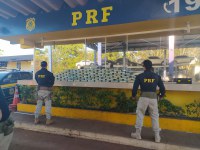 PRF apreende droga avaliada em mais de 12 milhões de reais