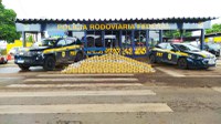 PRF apreende grande carga de pasta base de cocaína em Rondonópolis-MT