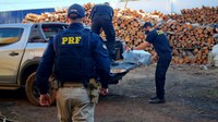 PRF em Mato Grosso participa de incineração de droga juntamente com a PF e PC