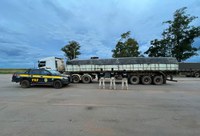 PRF em Mato Grosso recupera semirreboque roubado na Bahia