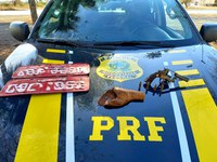 PRF em Várzea Grande/MT prende homem com placas falsas e uma arma sem registro