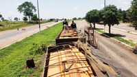 PRF flagra motorista transportando madeira ilegal em Rondonópolis-MT