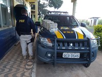 PRF prende homem transportando mais de 30 kg de cocaína em Alto Garças/MT