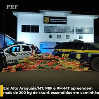 Em Alto Araguaia/MT, PRF e PM-MT apreendem mais de 200 kg de skunk escondidos em caminhão