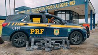 PRF apreende cerca de 32 kg de maconha e prende  passageira de ônibus em Pouso Alegre (MG)