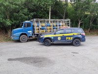 Após denúncia de comerciantes, PRF apreende carga de botijões de gás sem nota fiscal em Teófilo Otoni (MG)