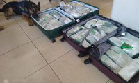 Cães farejadores da PRF flagram adolescente transportando quase 70 kg de maconha dentro da bagagem