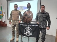 Policial Rodoviário Federal conclui Curso de Intervenções Estratégicas em Movimentos Sociais