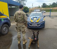 Passageiro de ônibus é flagrado transportando Maconha e Cloridrato de Cocaína na BR 381