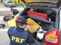 PRF resgata 15 galos de briga com sinais de maus tratos e apreende uma arma de fogo em Oliveira (MG)