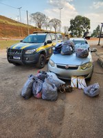 PRF prende quadrilha após cometimento de furtos na cidade de Oliveira (MG)