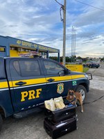 Passageira de ônibus é flagrado com Maconha durante fiscalização na BR 381 em Pouso Alegre (MG)