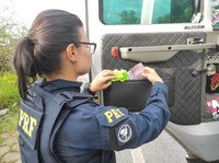 PRF prende caminhoneiro com 178 comprimidos de anfetaminas proibidas na BR 381