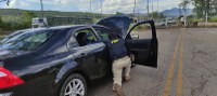 PRF prende motorista durante fiscalização na BR 381 em Itatiaiuçu (MG)