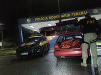 Motorista é detido pela PRF após saquear carga de veículo acidentado na BR 381 em Carmo da Cachoeira (MG)