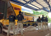PRF atinge marca histórica e aumenta em mais de 15% as apreensões de cocaína no ano de 2022 em Minas Gerais