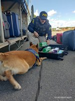 PRF flagra passageira transportando Maconha dentro de mala na BR 381 em Pouso Alegre (MG)