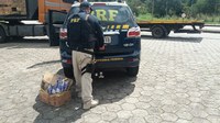 PRF prende motorista após saquear carga de veículo acidentado na BR-381, em Carmópolis de Minas (MG)