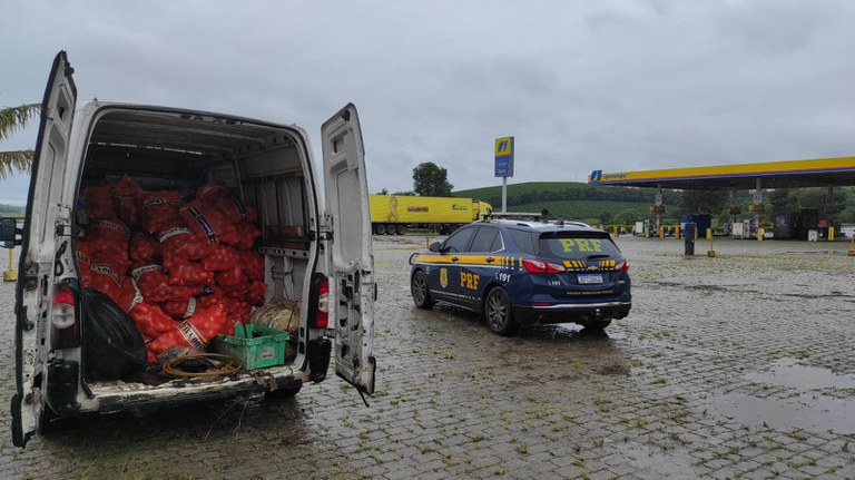 Cebola recuperada Carmo da Cachoeira.jpeg