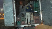 PRF apreende 150 mil maços de cigarros contrabandeados dentro de caminhão em Betim (MG)