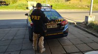 PRF apreende cocaína e maconha com passageiro de ônibus em Leopoldina (MG)