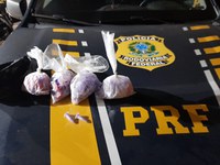 PRF apreende 250 pinos de Cocaína dentro de veículo na BR 262 em Florestal (MG)