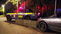 PRF resgata 128 pássaros silvestres durante fiscalização na BR 354 em Pouso Alto (MG)