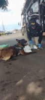 Fiscalização da PRF em Pouso Alegre (MG) flagra cegonheira transportando Cloridrato de Cocaína dentro de veículo