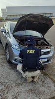 Automóvel com queixa de furto é recuperado pela PRF na BR-381, em Camanducaia (MG)