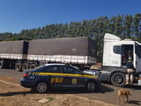 PRF recupera carreta roubada com carga de grãos em Uberlândia (MG)