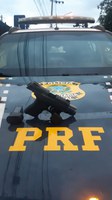 PRF apreende uma pistola calibre 380 ACP em Monte Carmelo (MG)