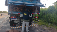 PRF apreende 26 m³ de madeira sendo transportados ilegalmente, em Santa Maria do Pará/PA