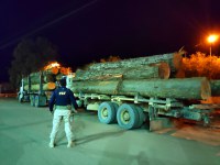 PRF apreende 40 m³ de madeira ilegal, em Rurópolis/PA